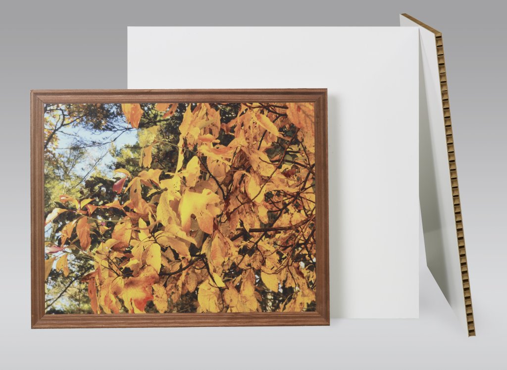 falconboard frame piedmont plastics