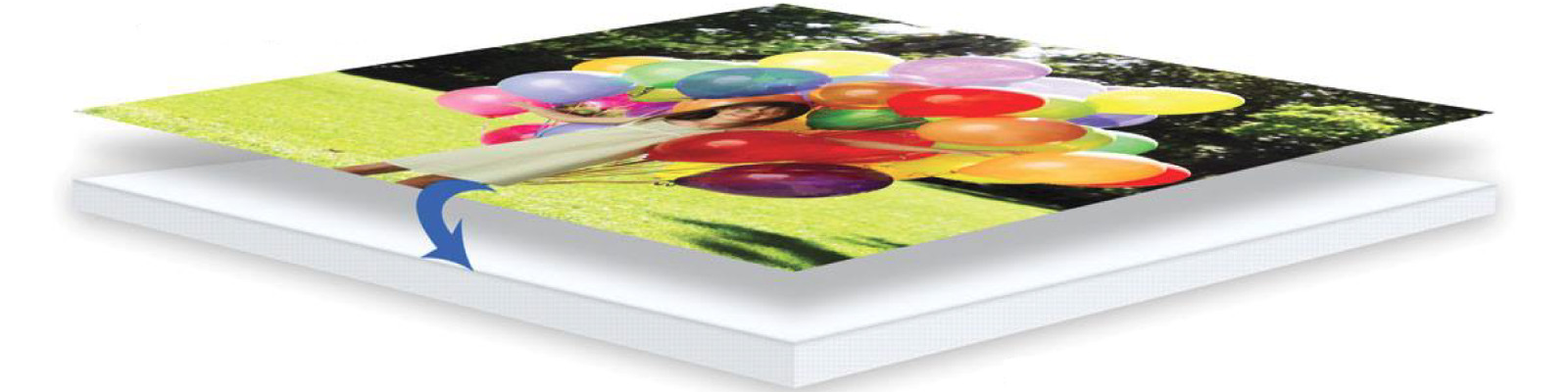 Paper Faced Foam Board