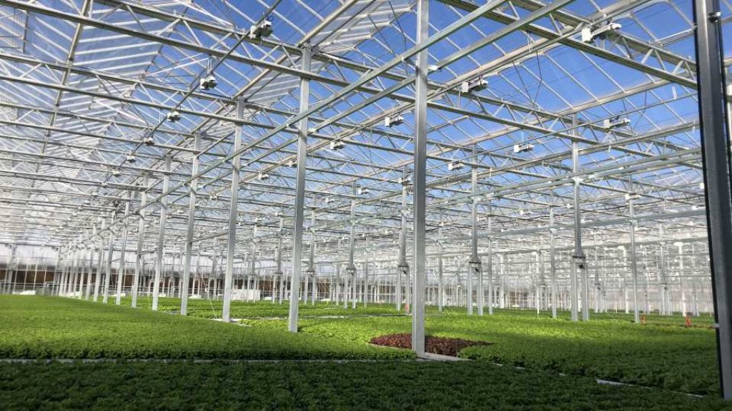 piedmont plastics greenhouses