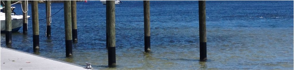 piedmont plastics pile wraps