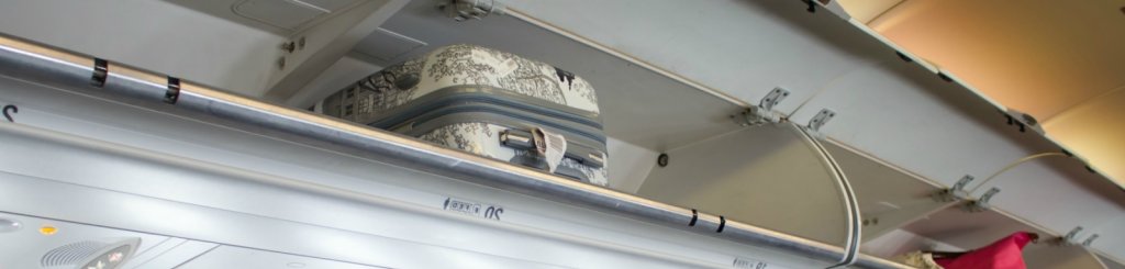 piedmont plastics luggage storage bins