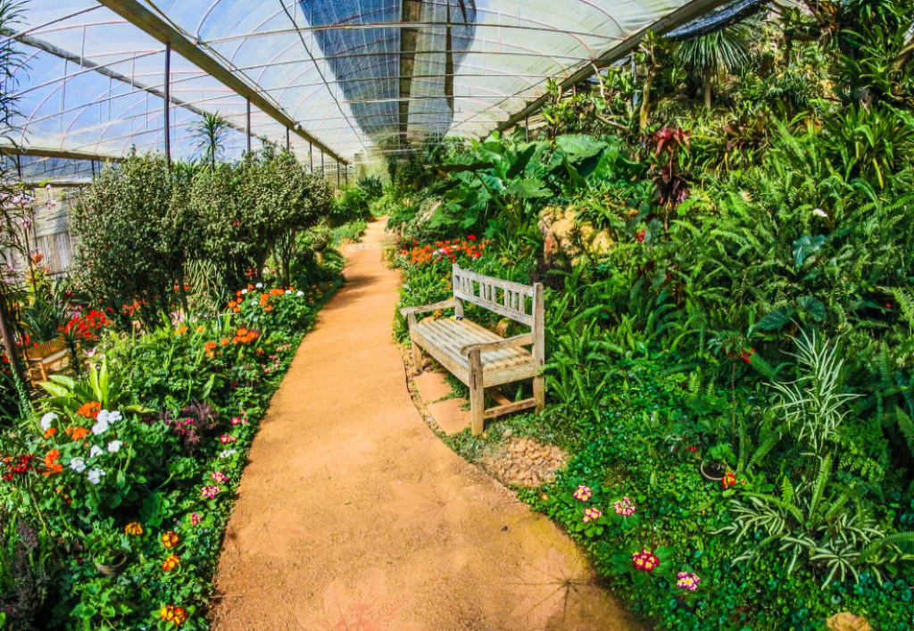 Polycarbonate Sheet GreenhousesPNG